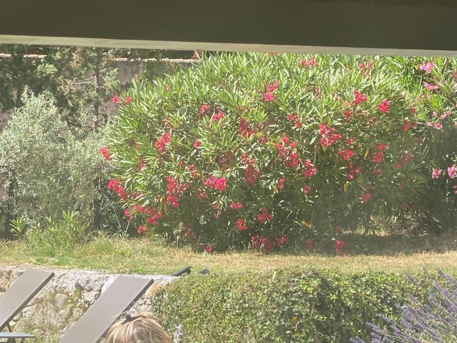 Ventabren Ar De Vie Villa Chaleureuse En Provence מראה חיצוני תמונה